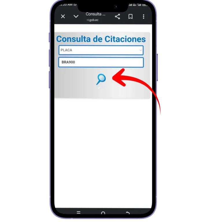 Dale clic en Consultar.