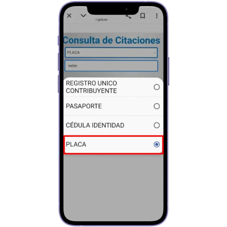 Elige la opción Placa.