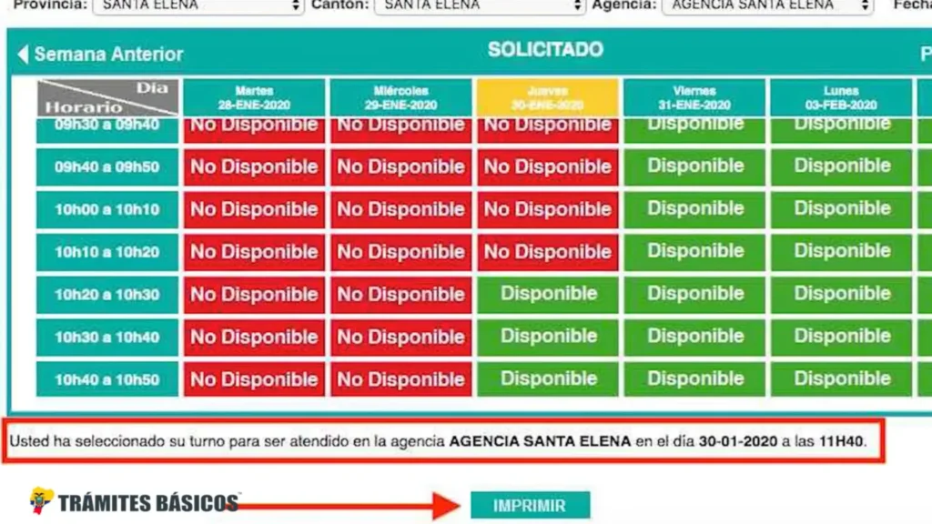 Imprime el comprobante del turno
