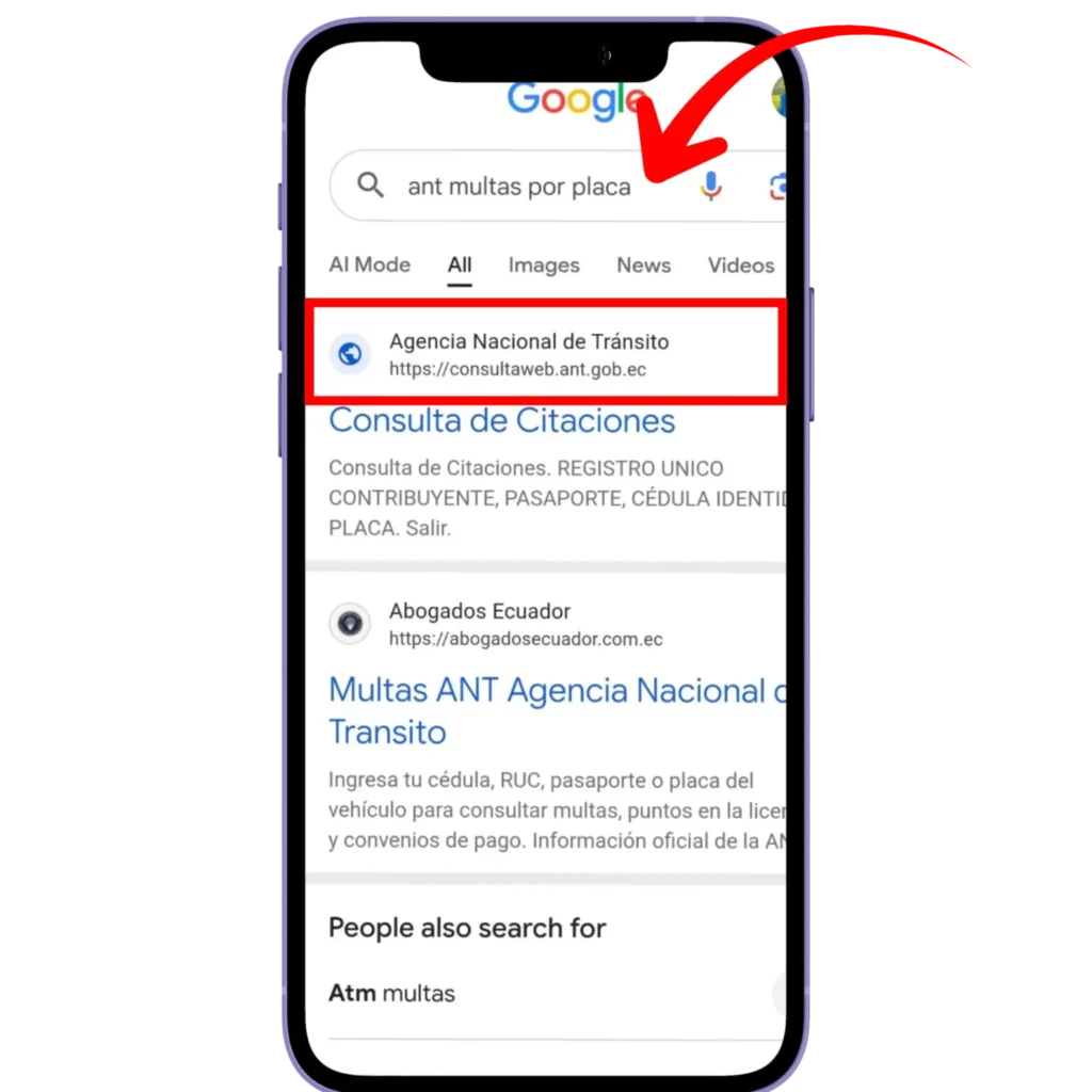 Vaya a la página de consultas de ANT
