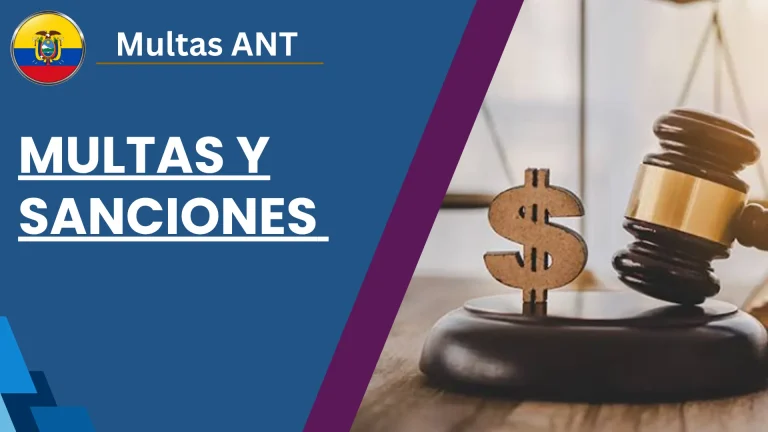 Multas y Sanciones