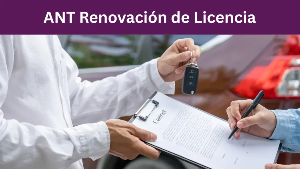Accede a la consulta de puntos Por qué necesitas pagarla a tiempo