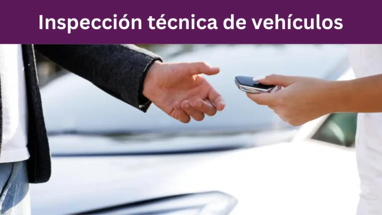 Turno ANT para Cambio de Dominio