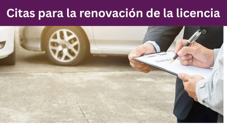 Turno ANT para Matriculación Vehicular