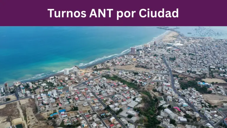 Turnos ANT por Ciudad
