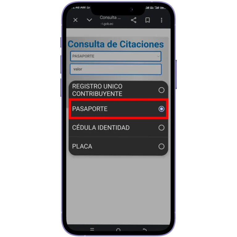 Verificar por Pasaporte