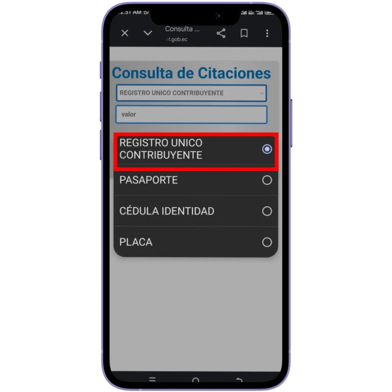 Verificar por RUC