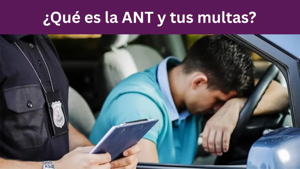 ¿Qué es la ANT y por qué debes revisar tus multas?