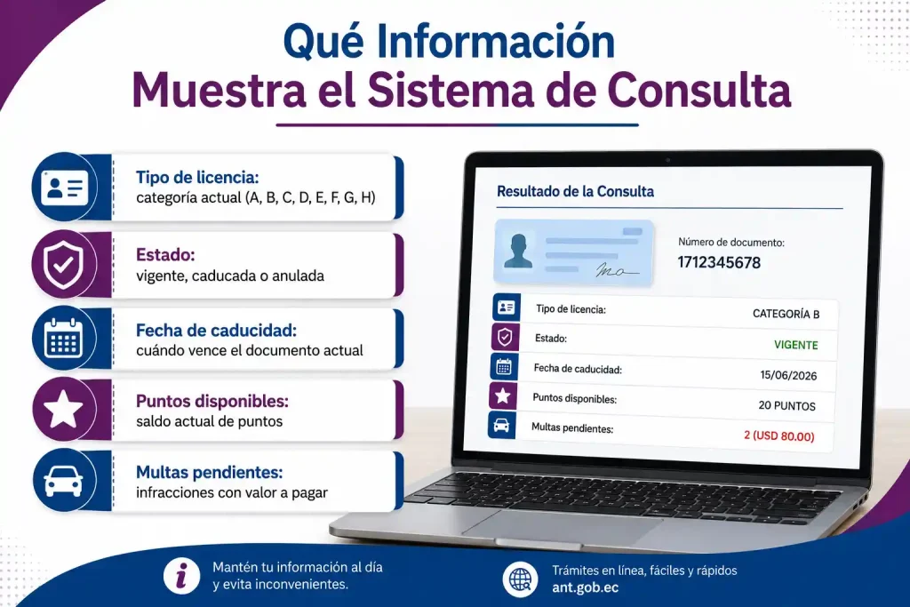 Qué Información Muestra el Sistema de Consulta
